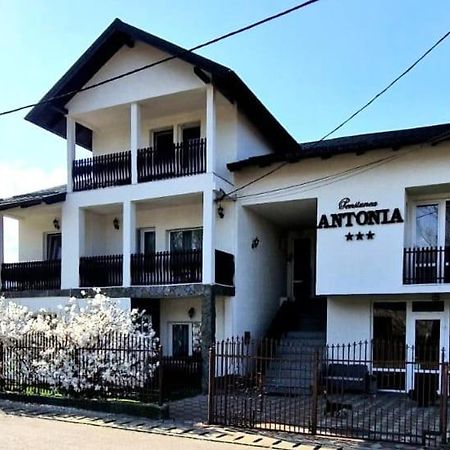 Pensiunea Antonia 바틀돌니 외부 사진
