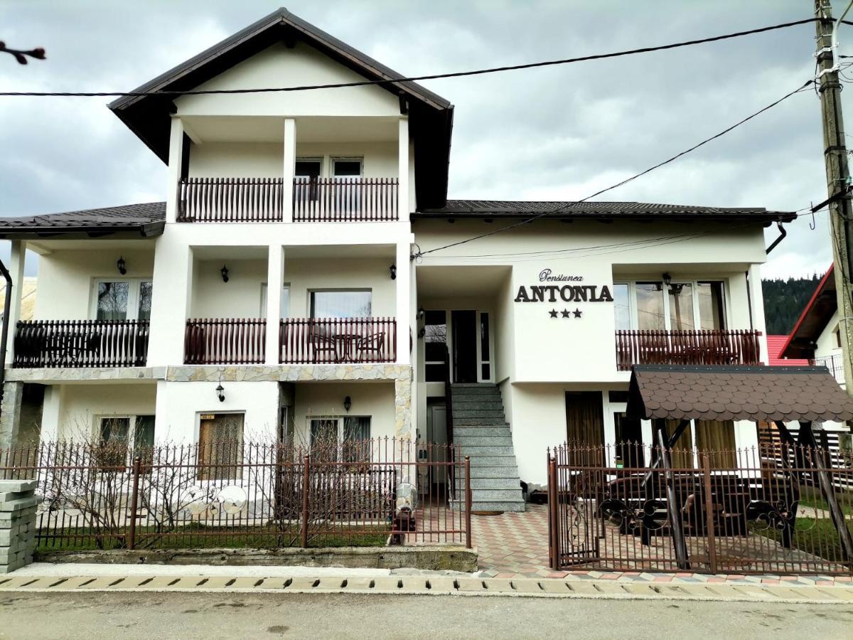 Pensiunea Antonia 바틀돌니 외부 사진